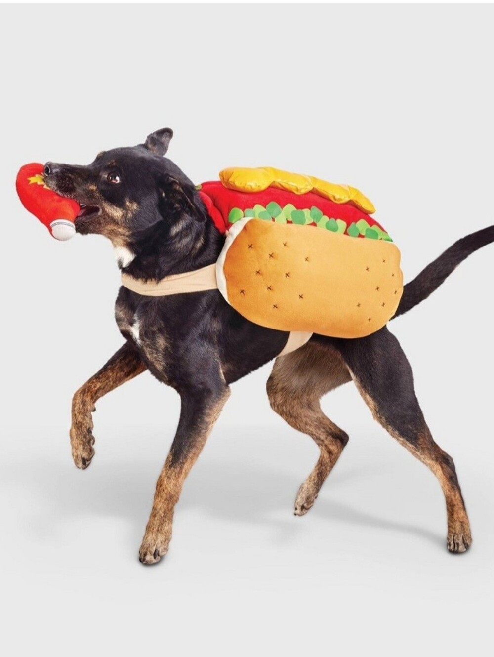Dog Hot Dog Halloween Costume